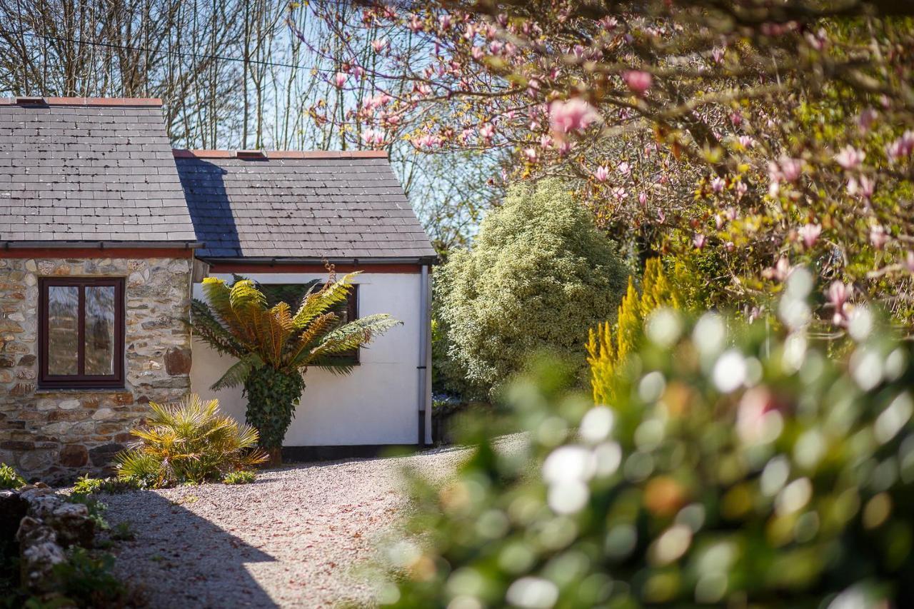 The Snug At Cornish Barn Holidays 트루로 외부 사진